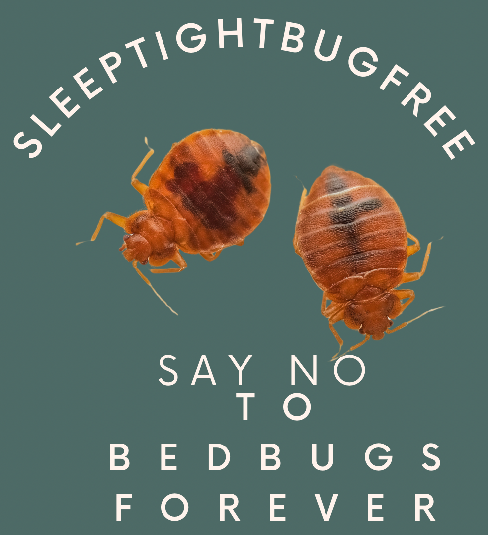 ECE49541-ECE0-43B5-B1B7-BFB4C38BAF22 (1)